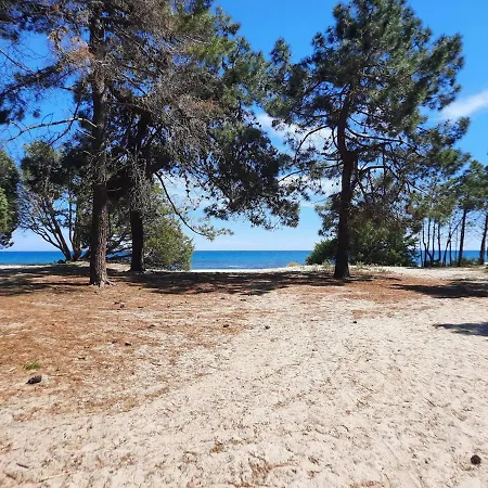 U Pezzu 5 Min De La Mer Apartment *